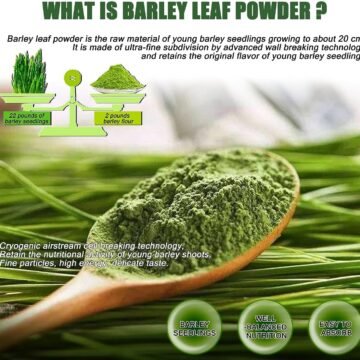 Barlaey Powder Barley Grass Powder 100% Pure & Organic Review – Healthuureviews